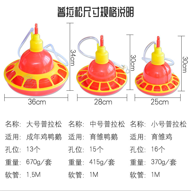 鏅媺鏉続璇︽儏椤?2).jpg